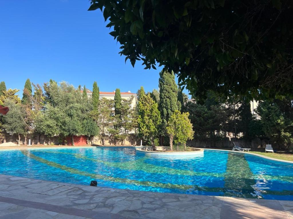 Cozy In Beautiful Complex Пафос